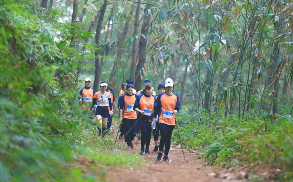 Trekking/Hiking